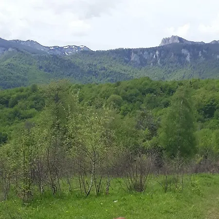 Deseci * Trnovo